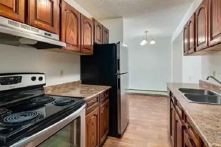 Apartments near Marlborough Mall Pet-Friendly Amenities