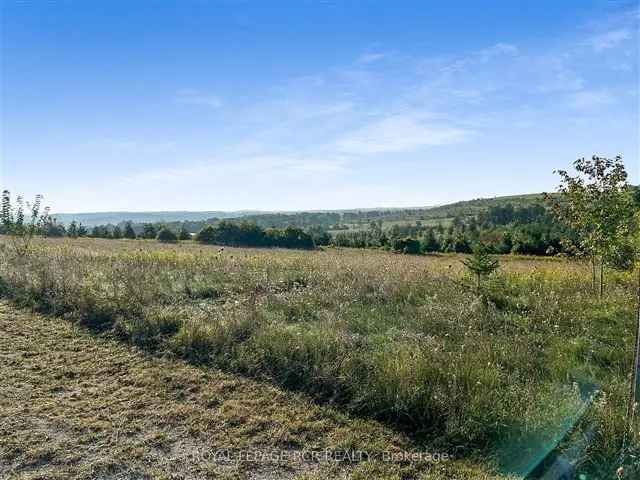 Countryside Property Near GTA with Sunrise Views