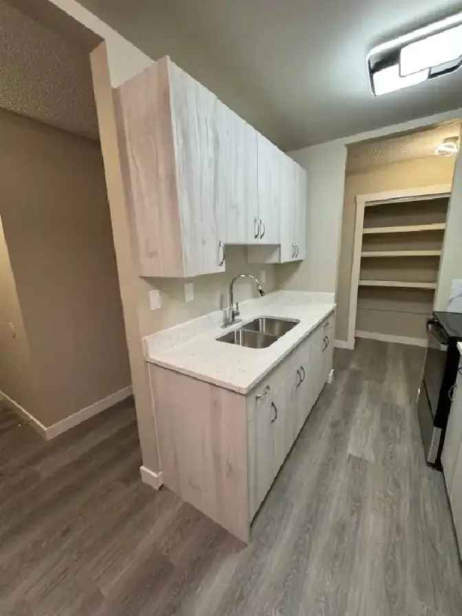 Renovated 1 Bed/ 1 Bath Apartment