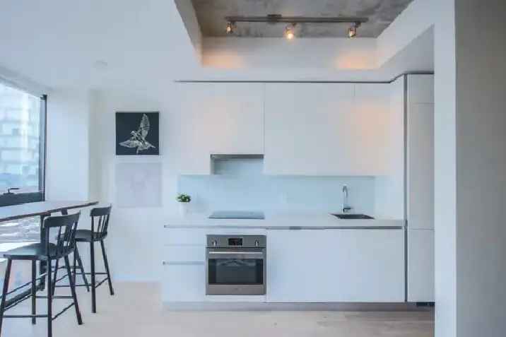 FULLY FURNISHED 1 BR CONDO IN KING WEST!