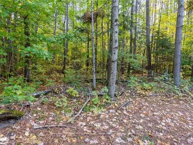 Muskoka Acreage Building Lot with Mature Pines