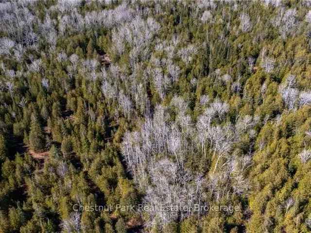 5-Acre Wooded Lot Near Lion's Head and Tobermory