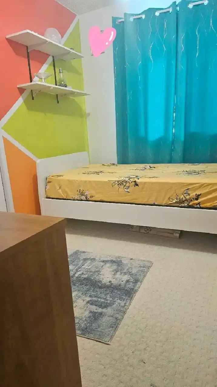 ●1 Room for rent