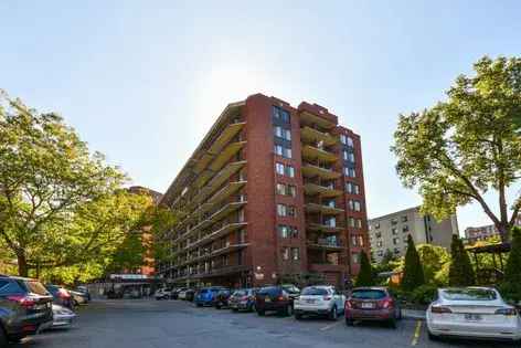 1 room apartment of 57 m² in Montreal