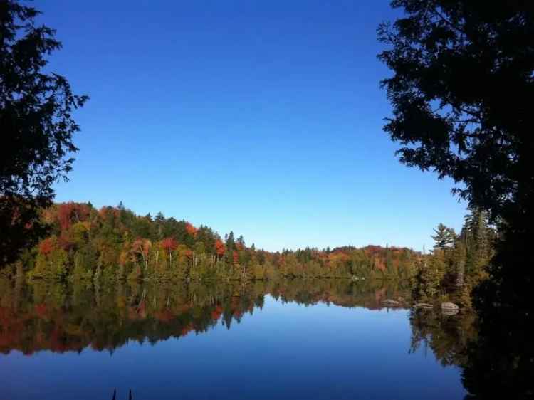 Coquet Chalet at Lac Grenier Peaceful Escape Sleeps 3