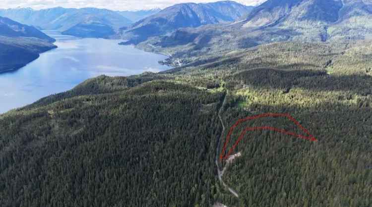 Fully Forested Acreage with Creek - Silverton, BC