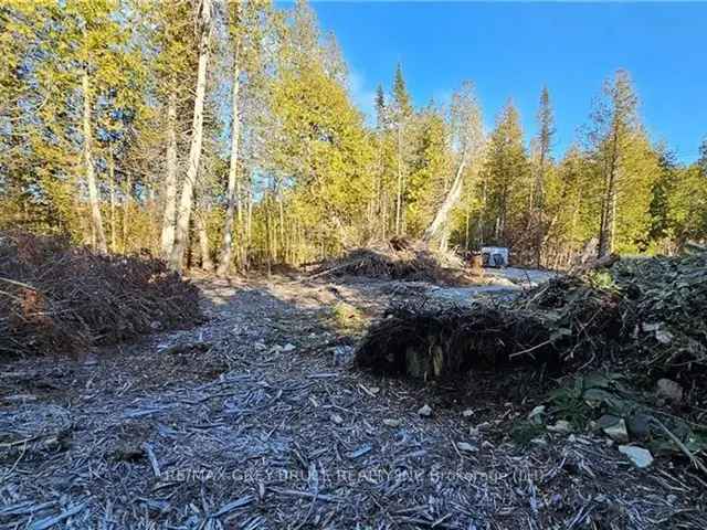 Lake Huron Lot Dream Home Build Ready Septic Driveway