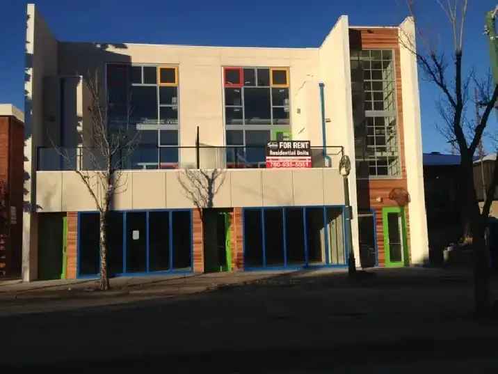 Large 2 Story Loft Unit Downtown Pet Friendly
