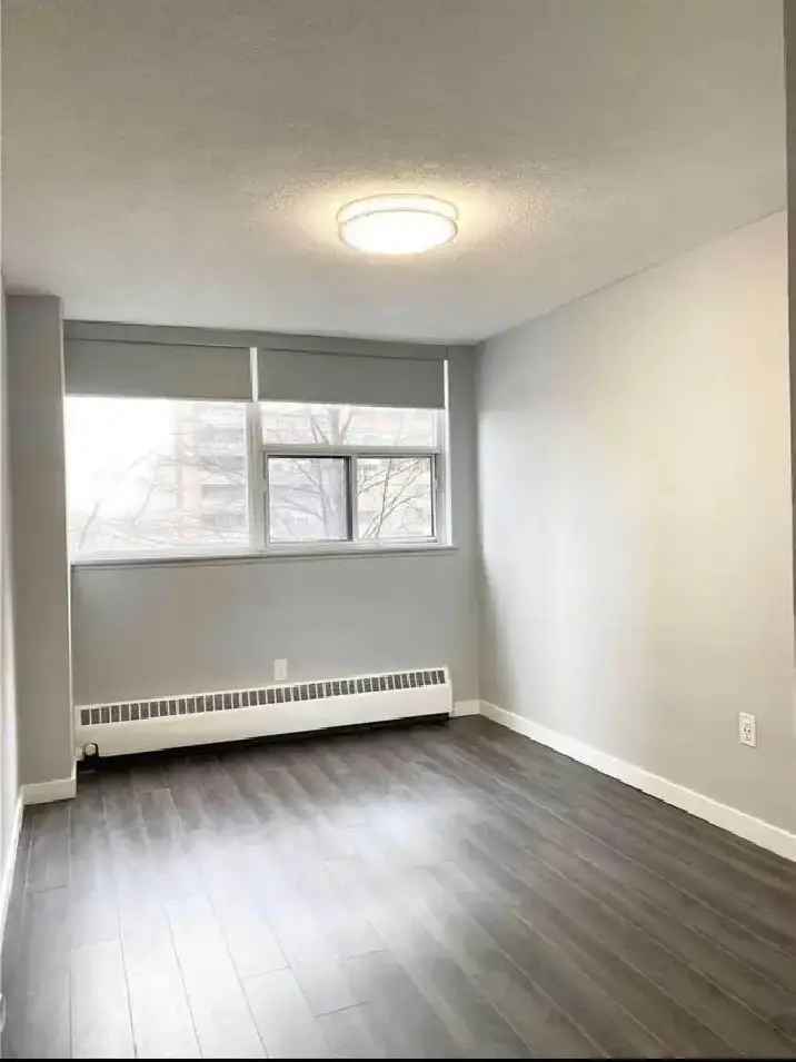 Single Room for rent