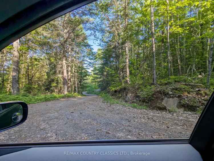 65 Acres Carson Lake Waterfront Property near Barry's Bay