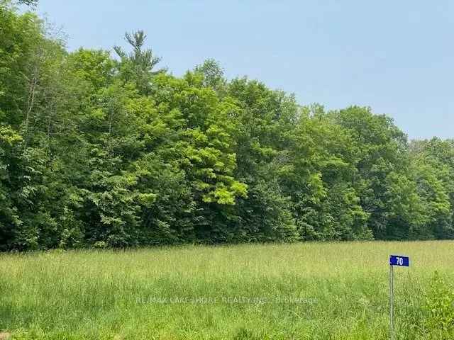 2 Acre Meadow in Northumberland County - Build Your Dream Home