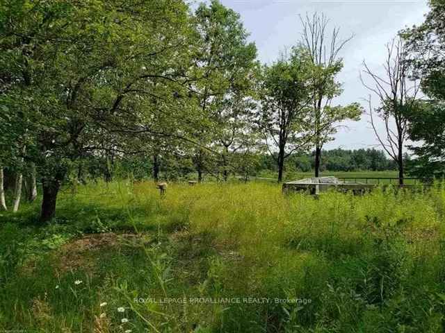 109 Acres with GarageWorkshop and Home Foundation