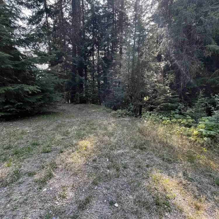 Recreational Building Lot near Manning Park