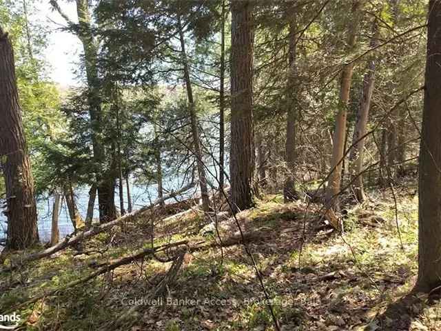 Land For Sale in McDougall Township, Ontario