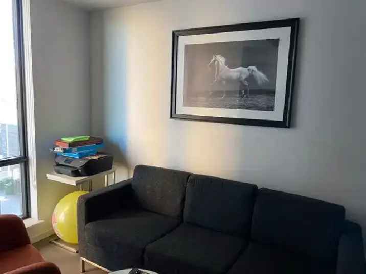 Private Room near Carleton University - Furnished