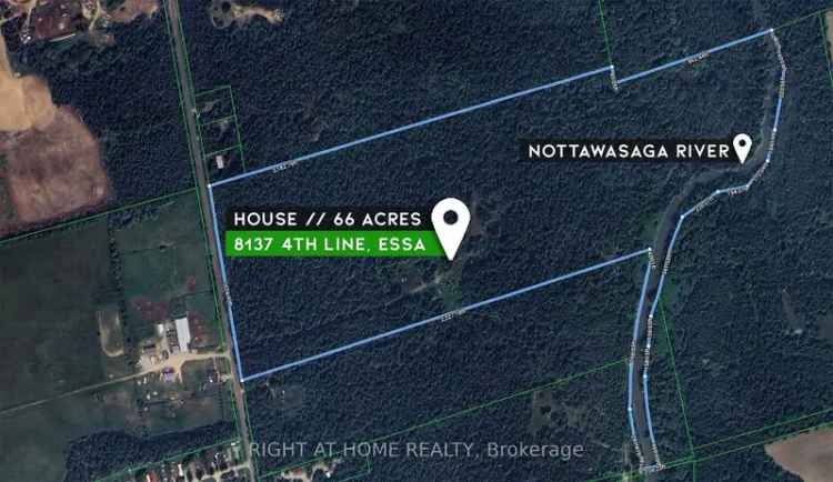 Buy House Riverside Property Nottawasaga River With Endless Potential