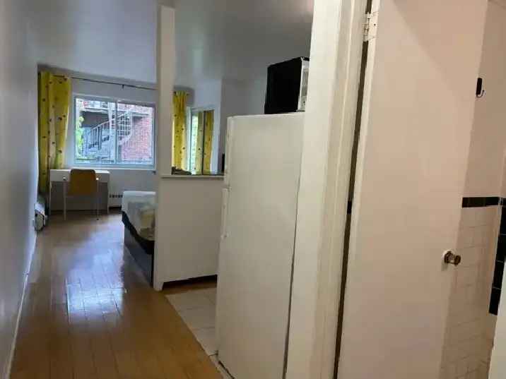 Downtown Near McGill All Included Furnitured Studio for Rent !!