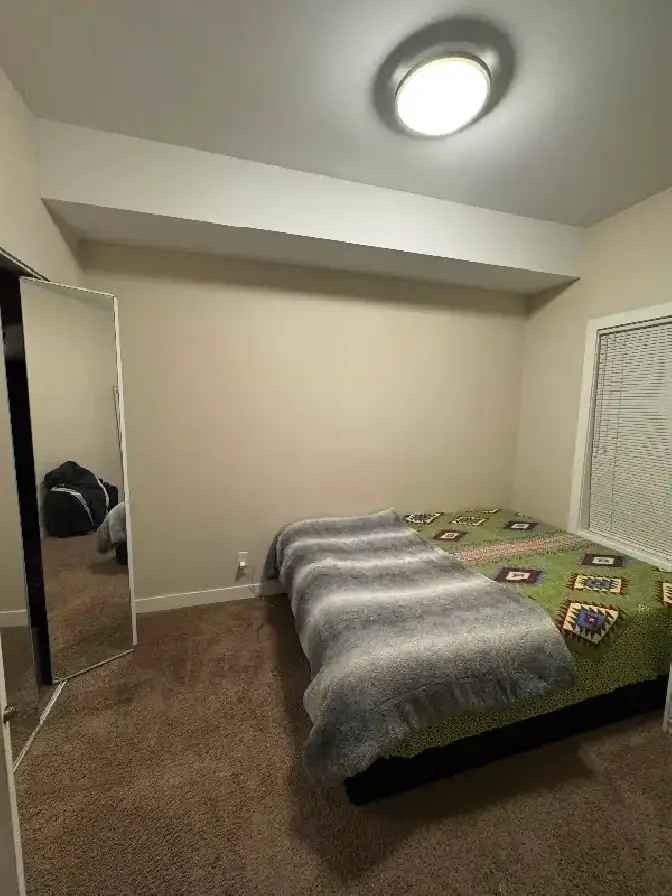 Private room for rent (in apartment)