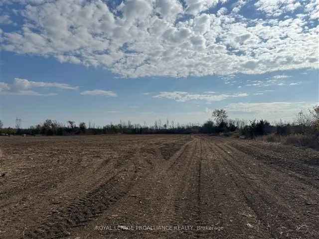 34+ Acre Vacant Land Near Belleville and Trenton