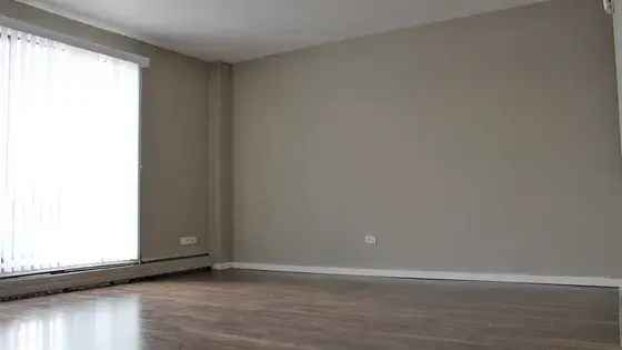 Rent 1 Room Apartment in Calgary with Balcony and Pet Friendly Features