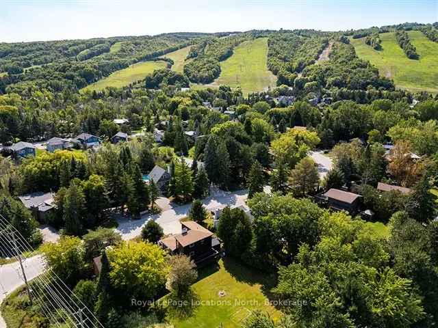 Classic Ski Chalet at Blue Mountain - Sleeps 8