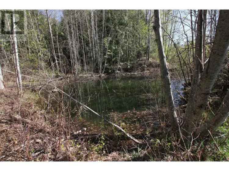 9.65 Acre Mountain View Property Near Nakusp