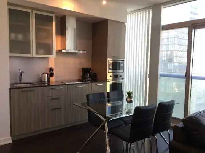 DOWNTOWN TORONTO Condo For Rent - 14 York St