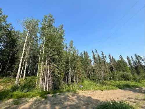 Buy Vacant Land in Rural Grande Prairie with Scenic Features