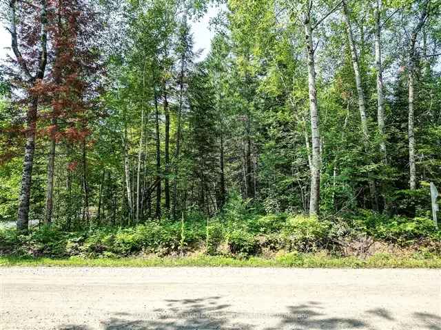 Land For Sale in Hastings Highlands, Ontario