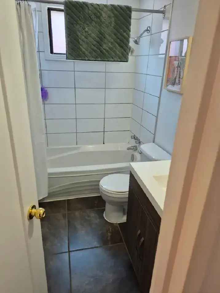 Rosemont 4.5 Room Apartment Near Pie IX Metro Renovated