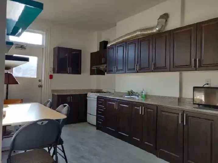 3 Bedroom Downtown Apartment - For STUDENT Rent