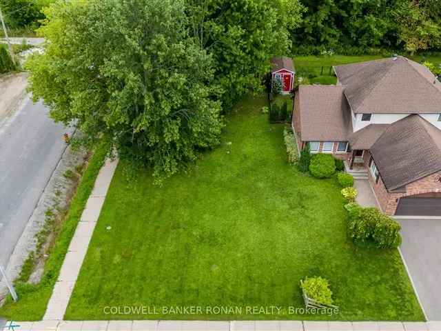 Land For Sale in New Tecumseth, Ontario