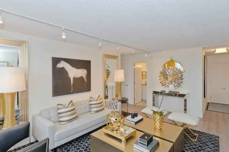 Rent Apartment in Calgary with Exclusive Offers and Modern Amenities