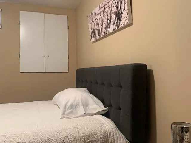 Furnished 1-Bedroom Basement Unit Near Amenities