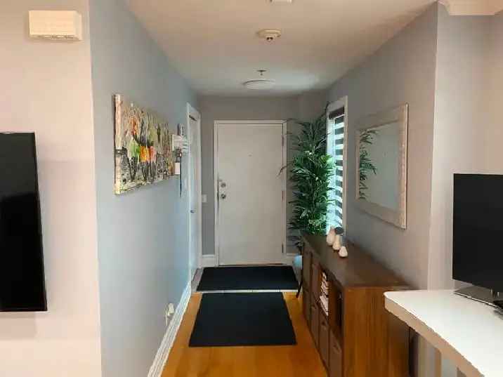 3 1/2 Condo (1 bedroom) for rent in Old-Port