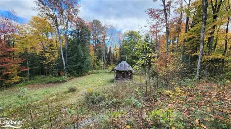 4 Acre Muskoka Property on Colony Road Near Bracebridge