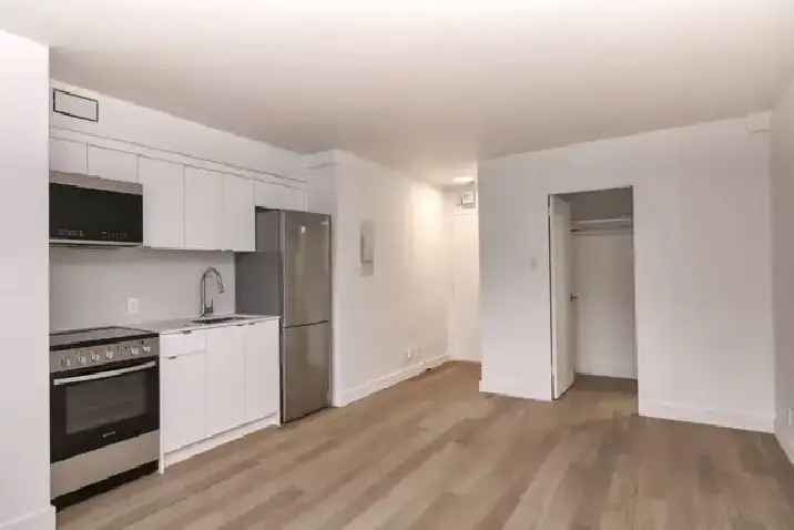 Renovated studio apartment in Outremont - ID 3574