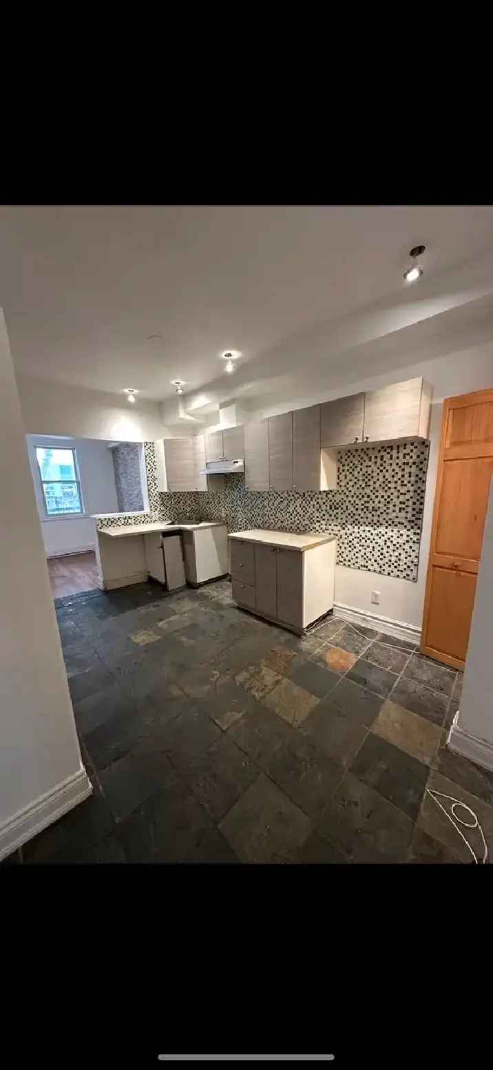 Plateau Mont-Royal 4 1/2 Renovated Apartment