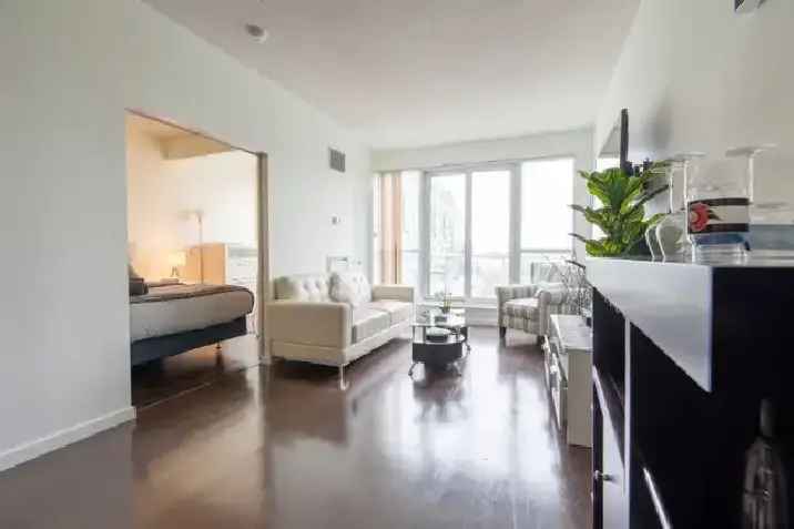 2 bed 2 bath condo downtown toronto fuly furnished Avail jan/feb