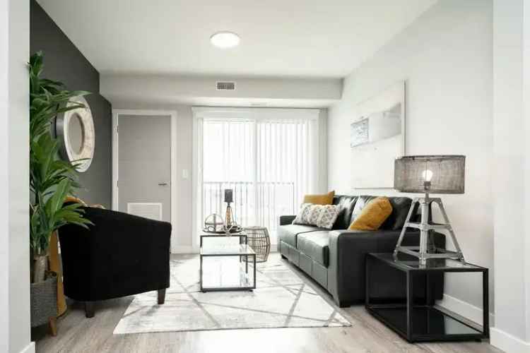 Rent Luxury Apartment in Winnipeg with Modern Features and Amenities