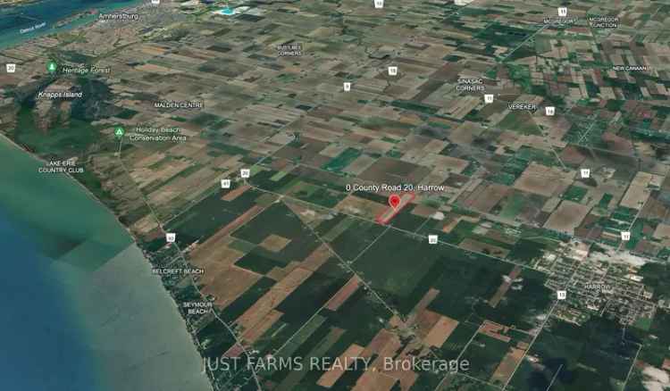 Buy Land Farm in Harrow Ontario with Productive Soil and Wind Turbine