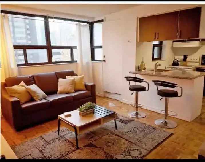 Downtown Toronto Fully Furnished One Bedroom For Rent