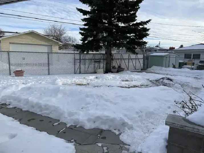 Large One Bedroom Basement Suite Near Downtown