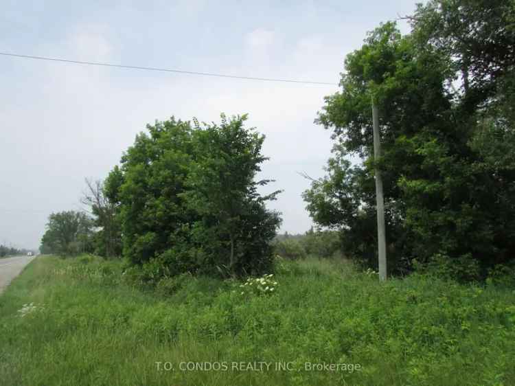 House For Sale in 19633, Highway 48, East Gwillimbury, Ontario