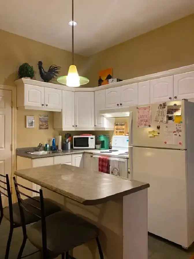 Charming Fully Furnished Apartment for Rent - Prime Downtown