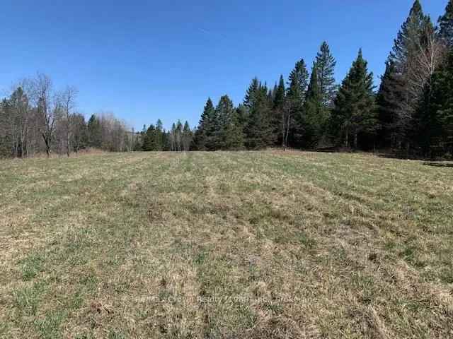 40 Acres Natural Beauty Income Potential Severance