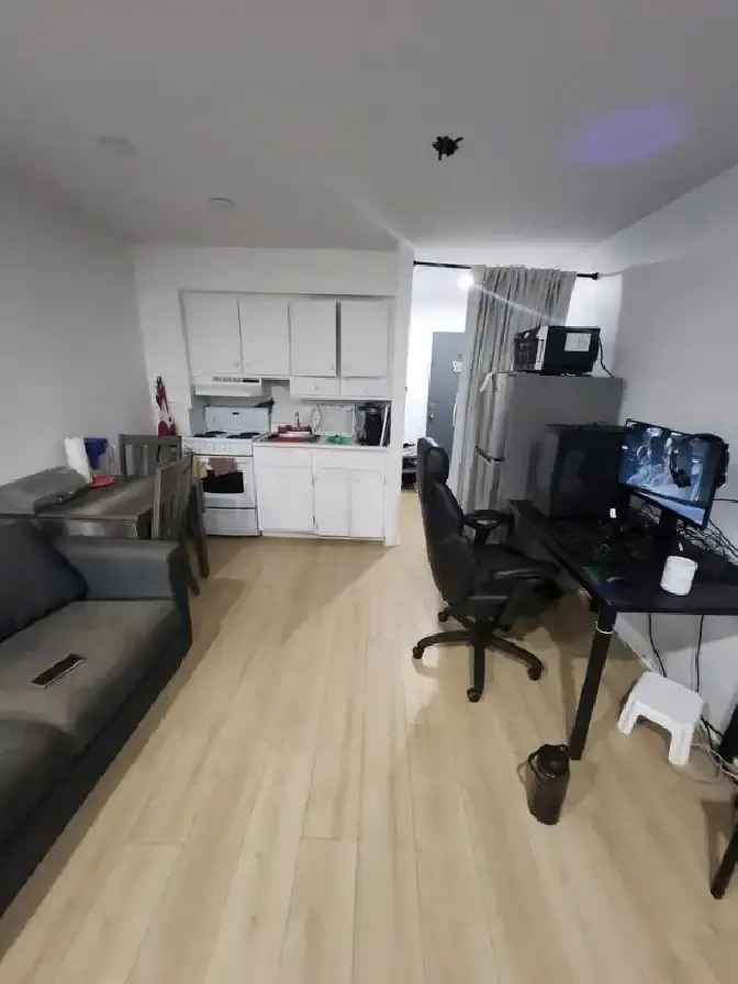 Spacious studio near metro Joliette