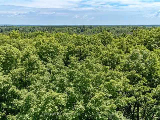 2.5-Acre Wooded Lot Minutes to Tweed