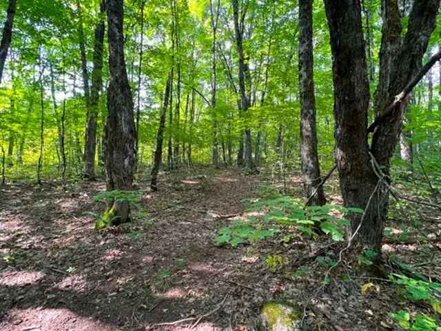 Cottage For Sale in Ryerson Township, Ontario