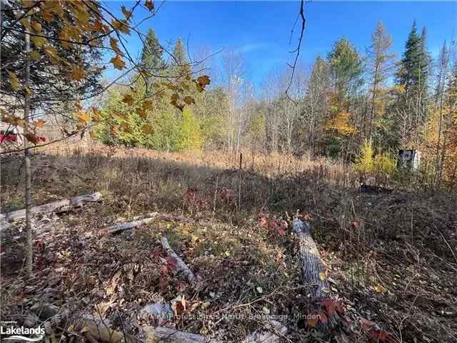 172 Acre Lot in Haliburton County Peaceful Countryside Ready to Build